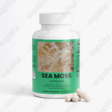 Sea Moss